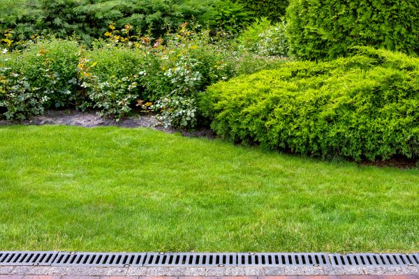 Enhances landscape health.