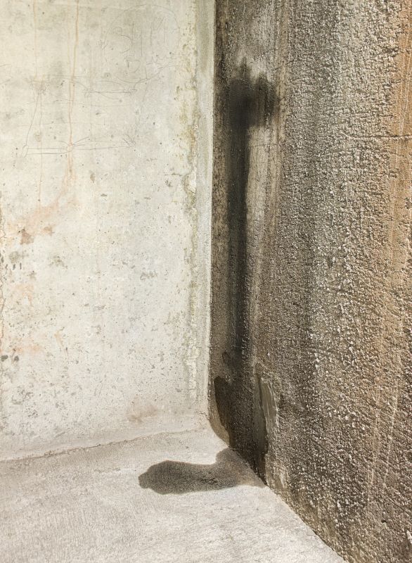 Basement Leak Repair in Tampa, FL