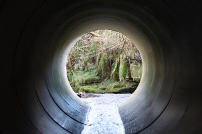 Culvert Clearing in Birmingham, AL